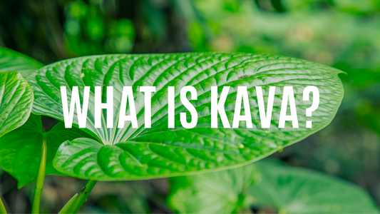 what is kava kava?